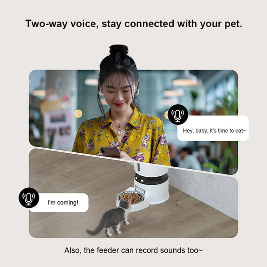 Revolutionize Your Pet Care with the HEYBO Automatic Feeder & Camera - Control Feeding from Anywhere!